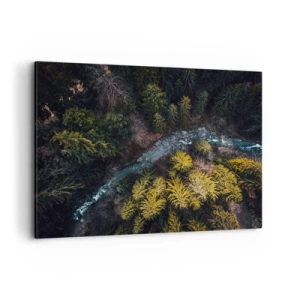 Obraz na płótnie - Widok z góry na las z wijącą się rzeką - 120x80cm - Szybko, coraz szybciej - Nowoczesna dekoracja ścienna do salonu, kuchni i sypialni ARTTOR