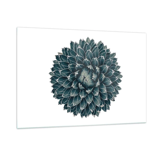 Obraz na szkle - Symetryczny wzór rośliny sukulenta na białym tle - 120x80cm - Gwiazda pustyni - Nowoczesna dekoracja ścienna do salonu, kuchni i sypialni ARTTOR