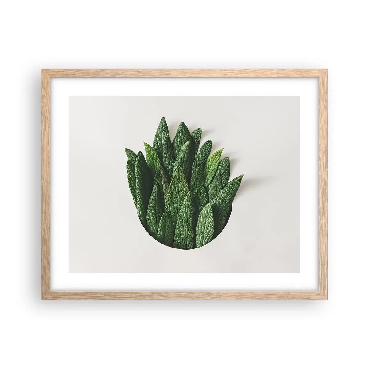 Plakat w ramie jasny dąb - Nieposkromiona ciekawość - 50x40 cm