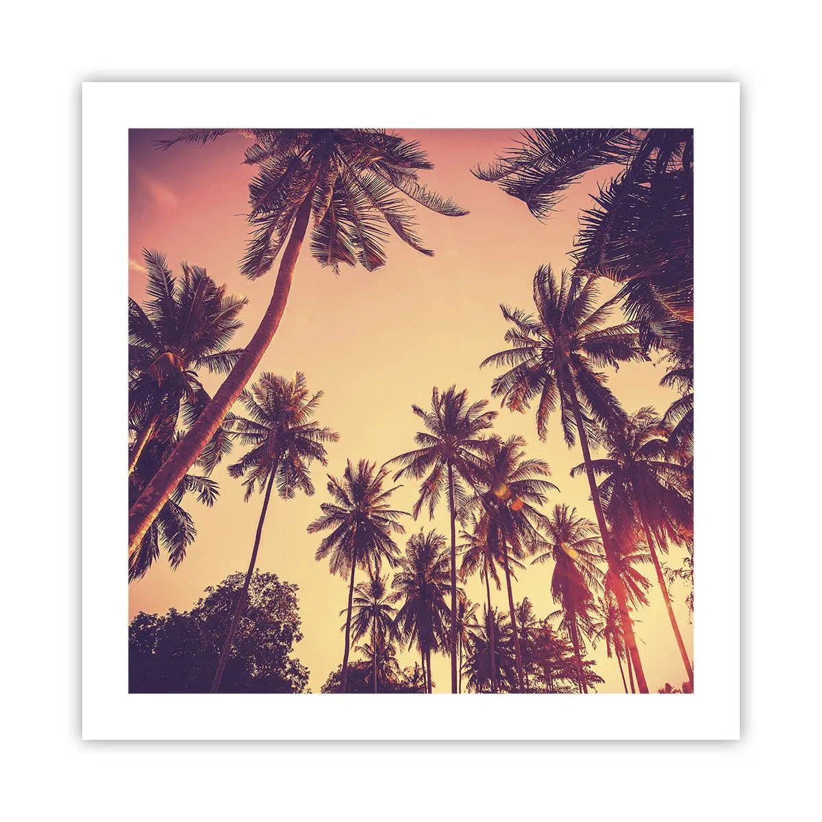 Plakat - Tropikalna wariacja - 50x50 cm