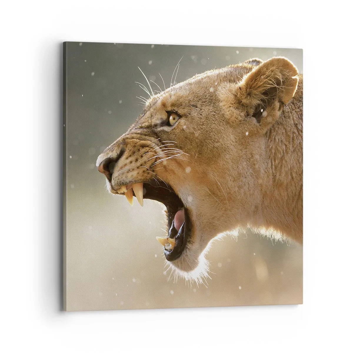 Obraz na płótnie - Spróbuj nie posłuchać - 70x70 cm