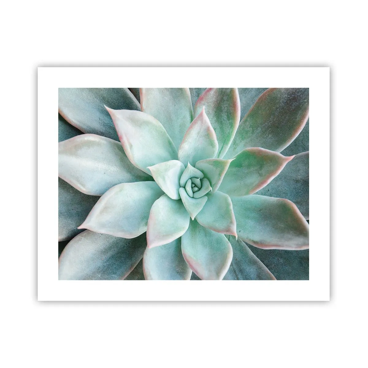 Plakat - Serce pustyni - 50x40 cm