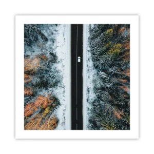 Plakat - Przeciąć zimowy las - 50x50 cm