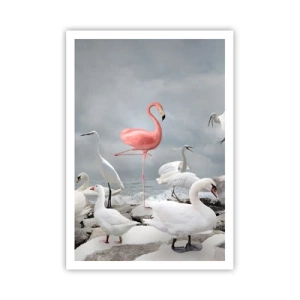 Plakat - Skąd się tu wziąłem? - 70x100 cm
