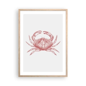 Plakat w ramie jasny dąb - Krab nad kraby - 50x70 cm