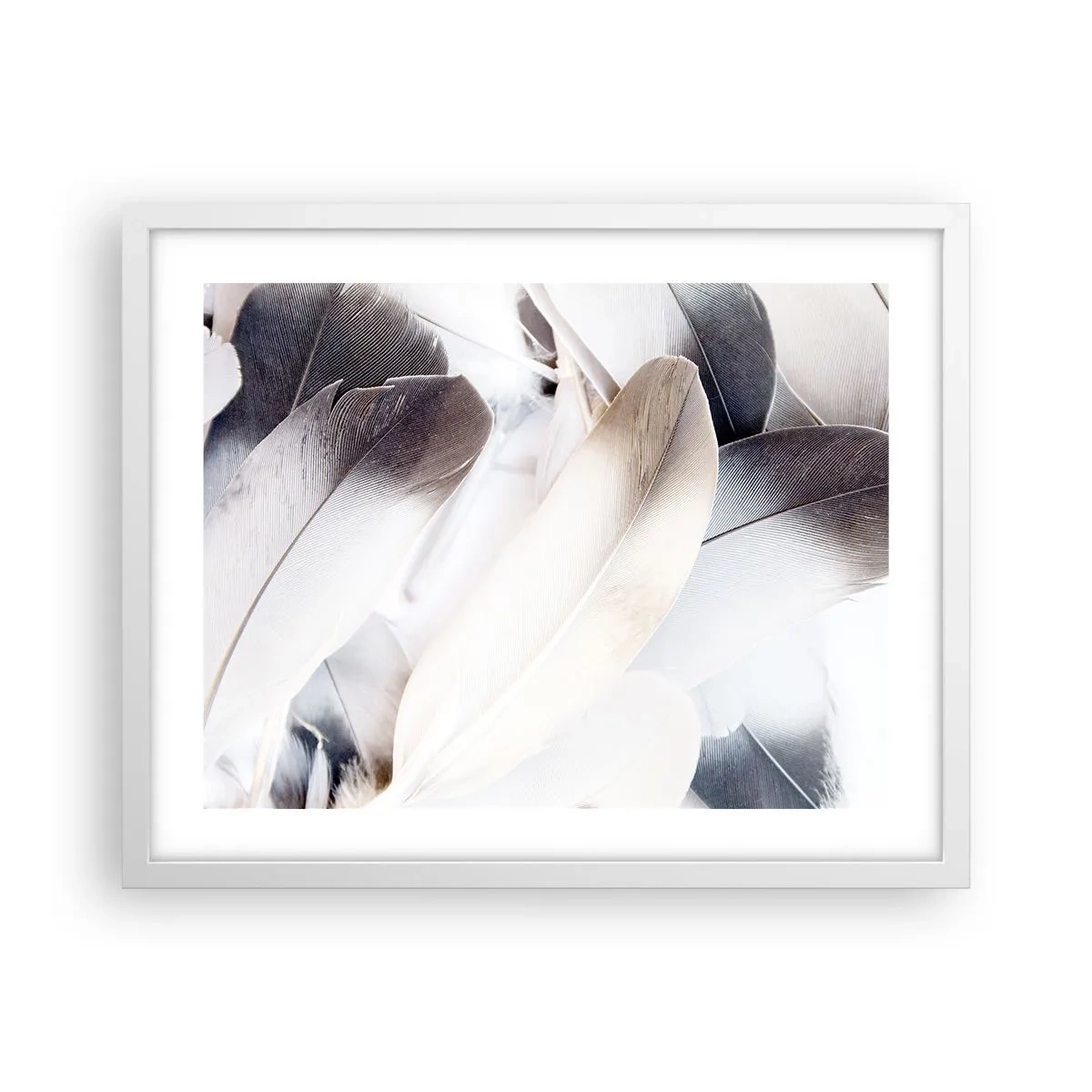 Plakat w białej ramie - Niemal anielskie - 50x40 cm