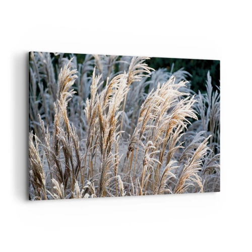 Obraz na płótnie - Zimowe źdźbła traw pokryte szronem na tle ciemnej zieleni - 120x80cm - Szronem ustrojone - Nowoczesna dekoracja ścienna do salonu, kuchni i sypialni ARTTOR