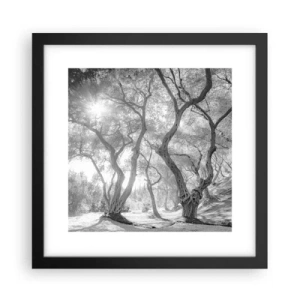 Plakat w czarnej ramie - W oliwnym gaju - 30x30 cm
