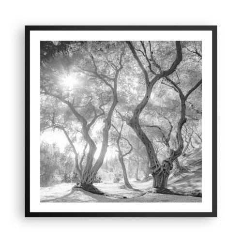 Plakat w czarnej ramie - W oliwnym gaju - 60x60 cm