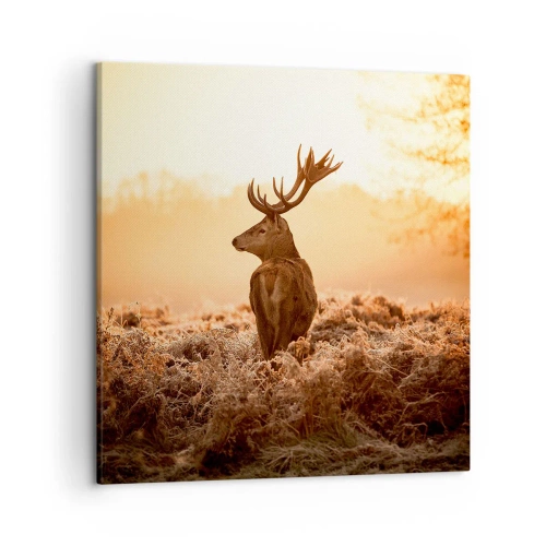 Obraz na płótnie - Pan na włościach - 50x50 cm