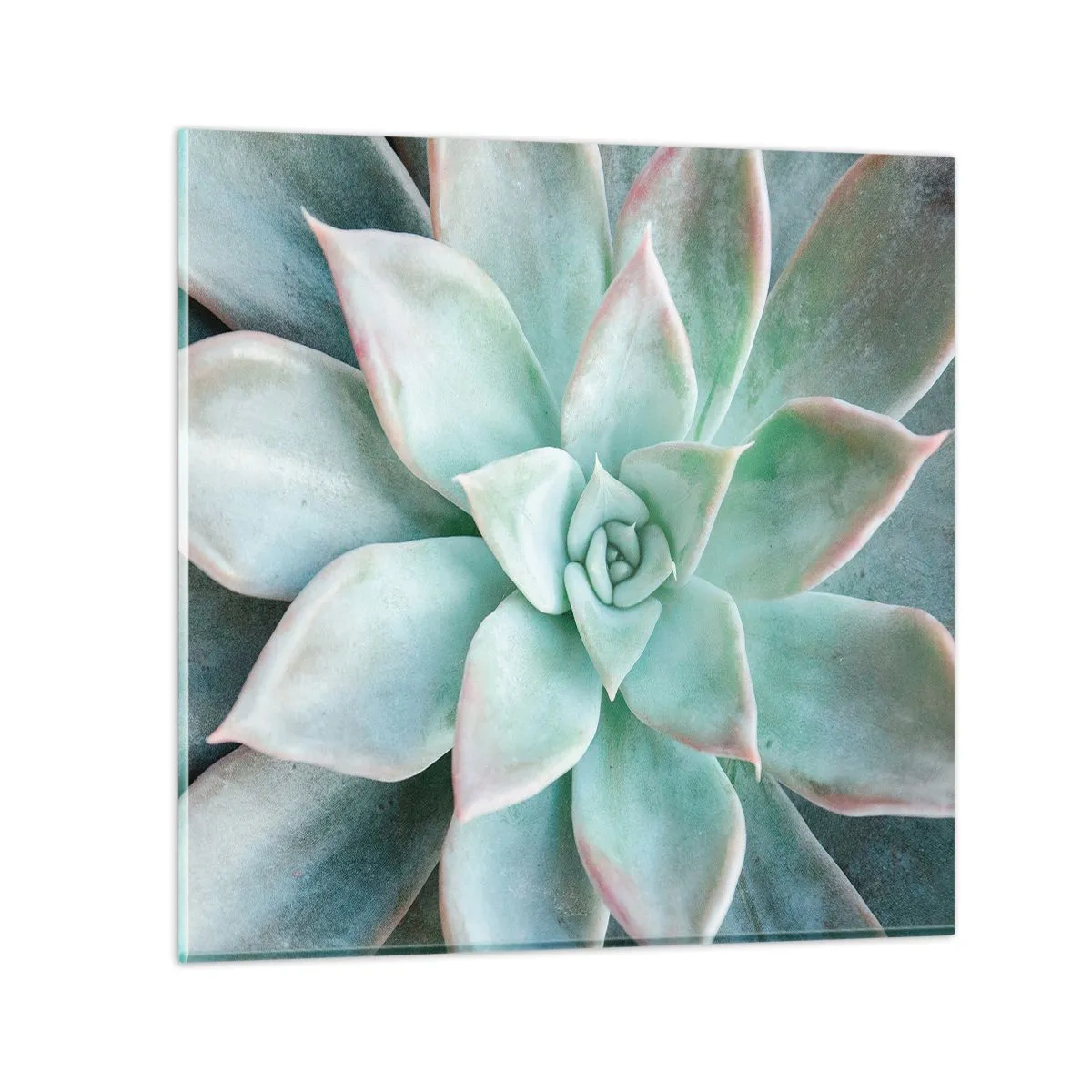 Obraz na szkle - Serce pustyni - 70x70 cm