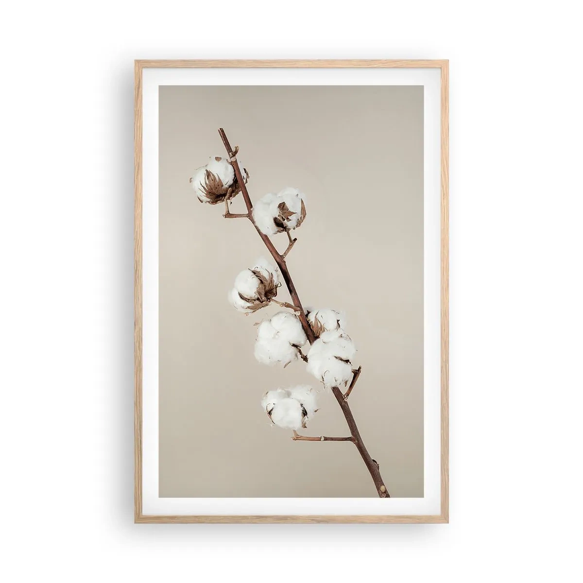 Plakat w ramie jasny dąb - U źródła miękkości - 61x91 cm