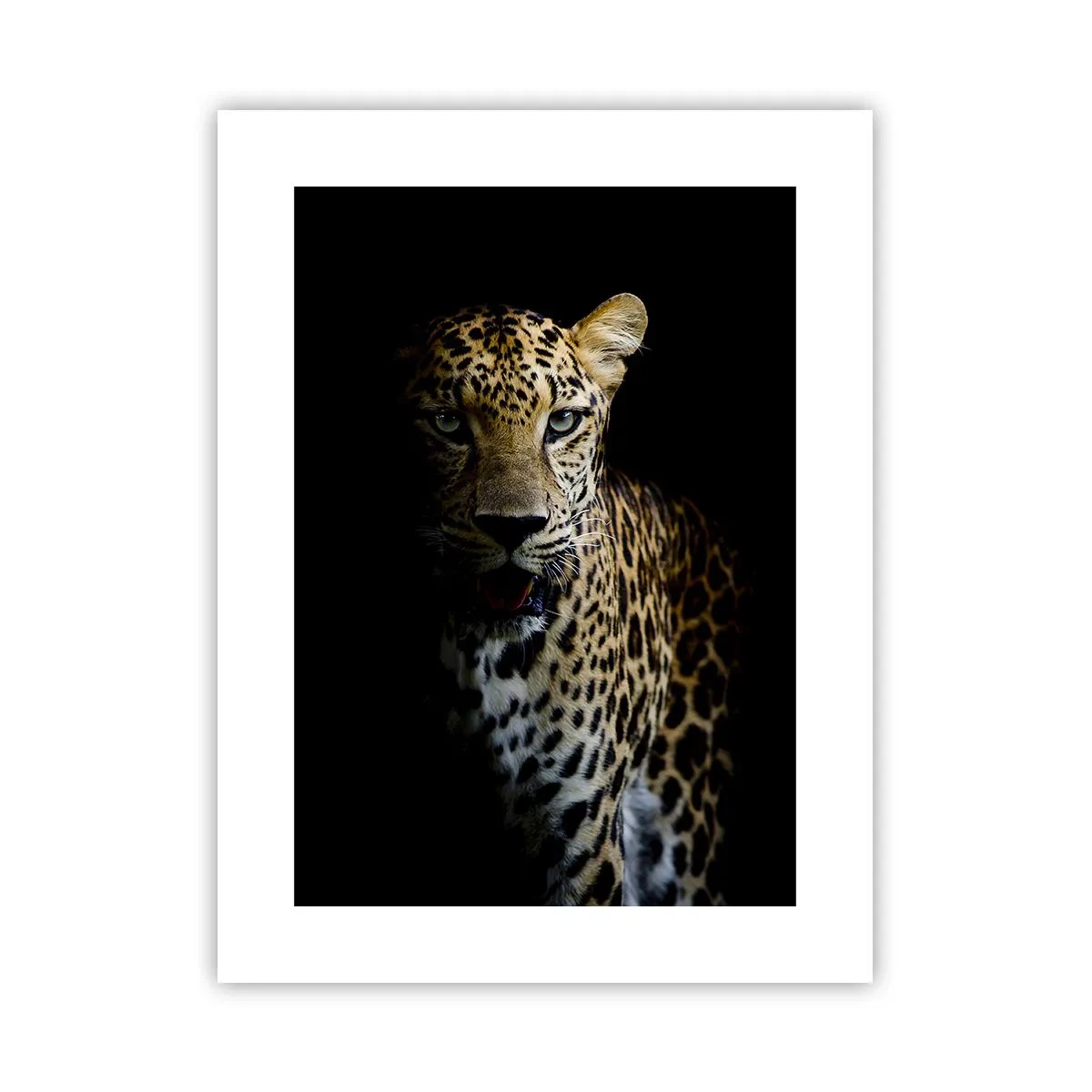 Plakat - Mroczne piękno - 30x40 cm