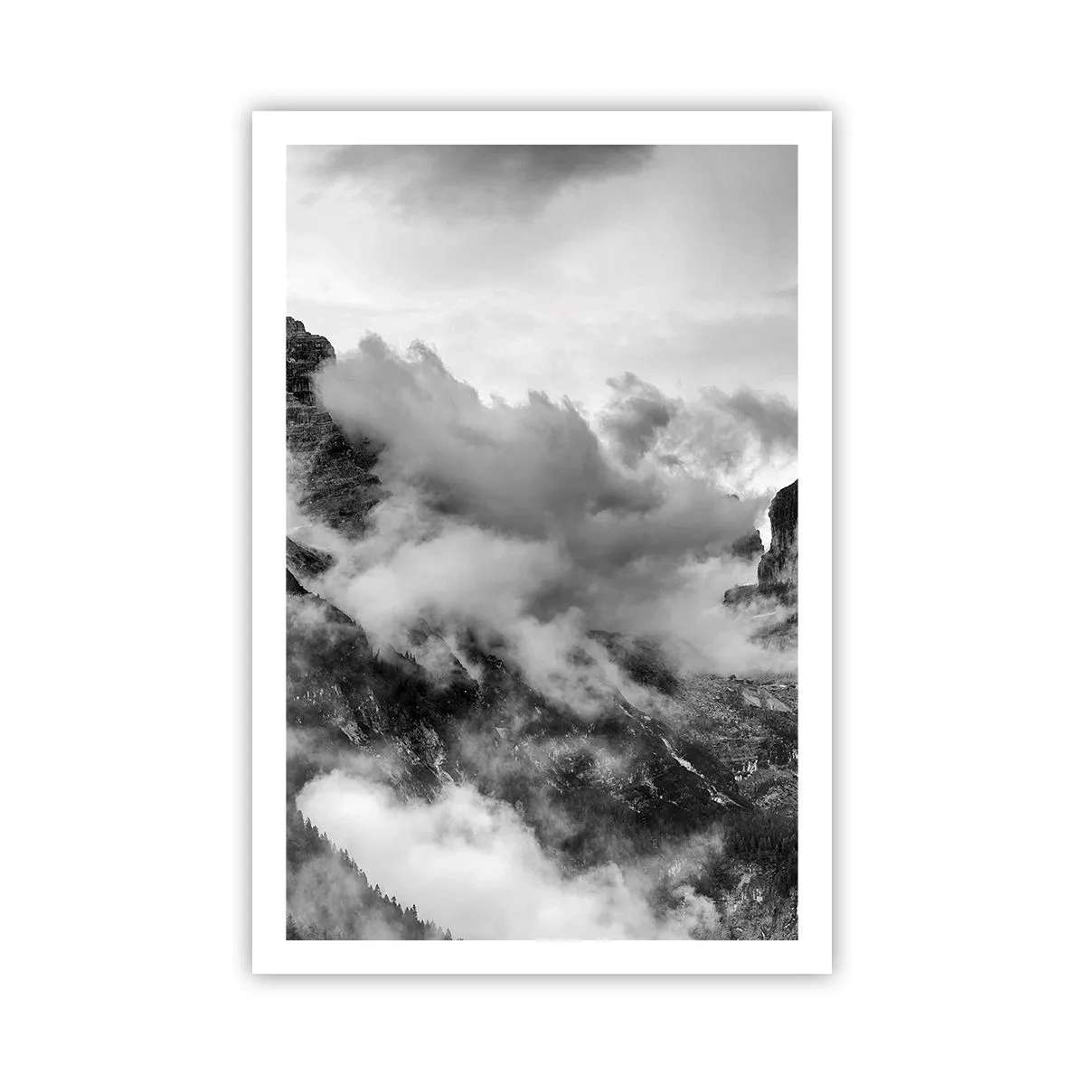 Plakat - Piękne i okrutne - 61x91 cm