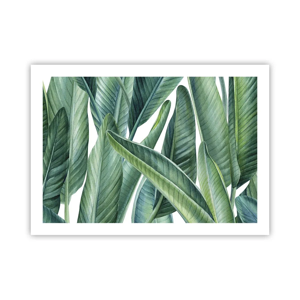 Plakat - Zieleń sama w sobie - 70x50 cm