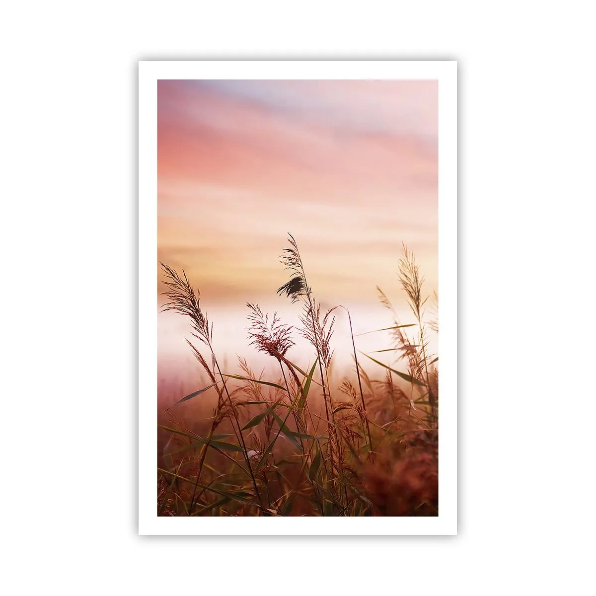 Plakat - Latawce, dmuchawce, wiatr - 61x91 cm