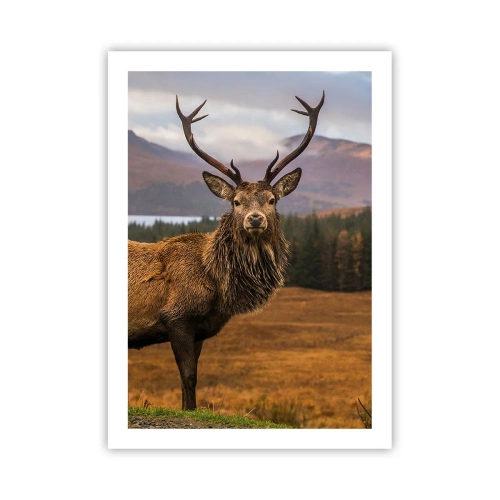 Plakat - Fotografia jelenia na tle górskiego krajobrazu - 50x70cm - Majestat natury - Nowoczesna dekoracja ścienna do salonu, kuchni i sypialni ARTTOR
