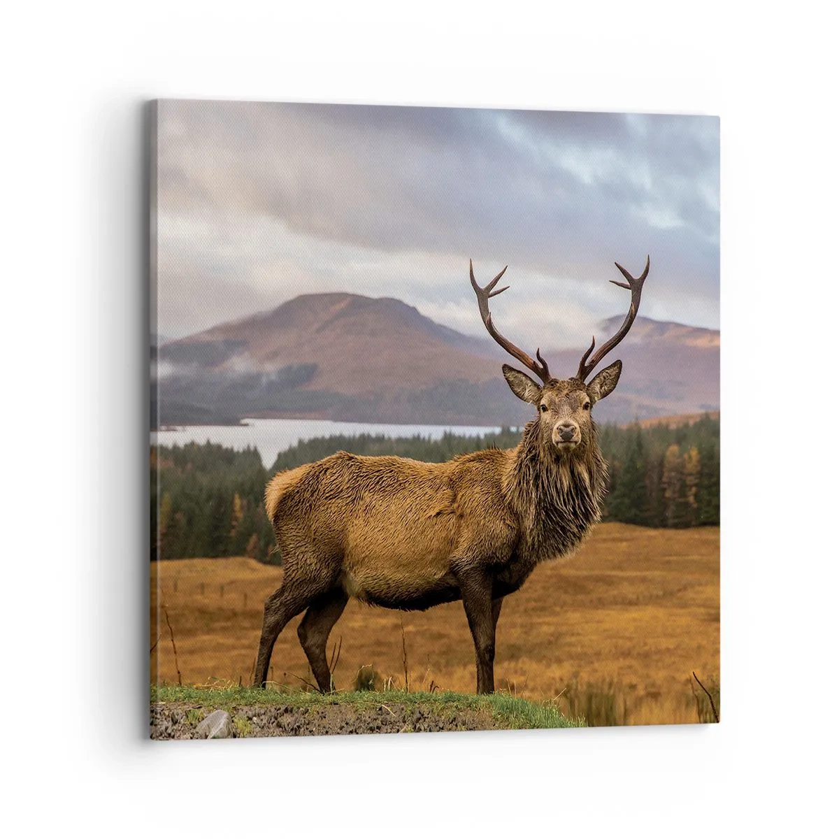 Obraz na płótnie - Majestat natury - 70x70 cm