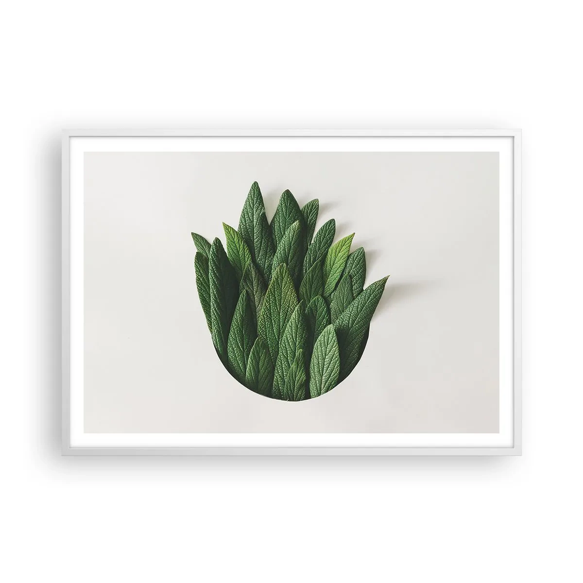 Plakat w białej ramie - Nieposkromiona ciekawość - 100x70 cm