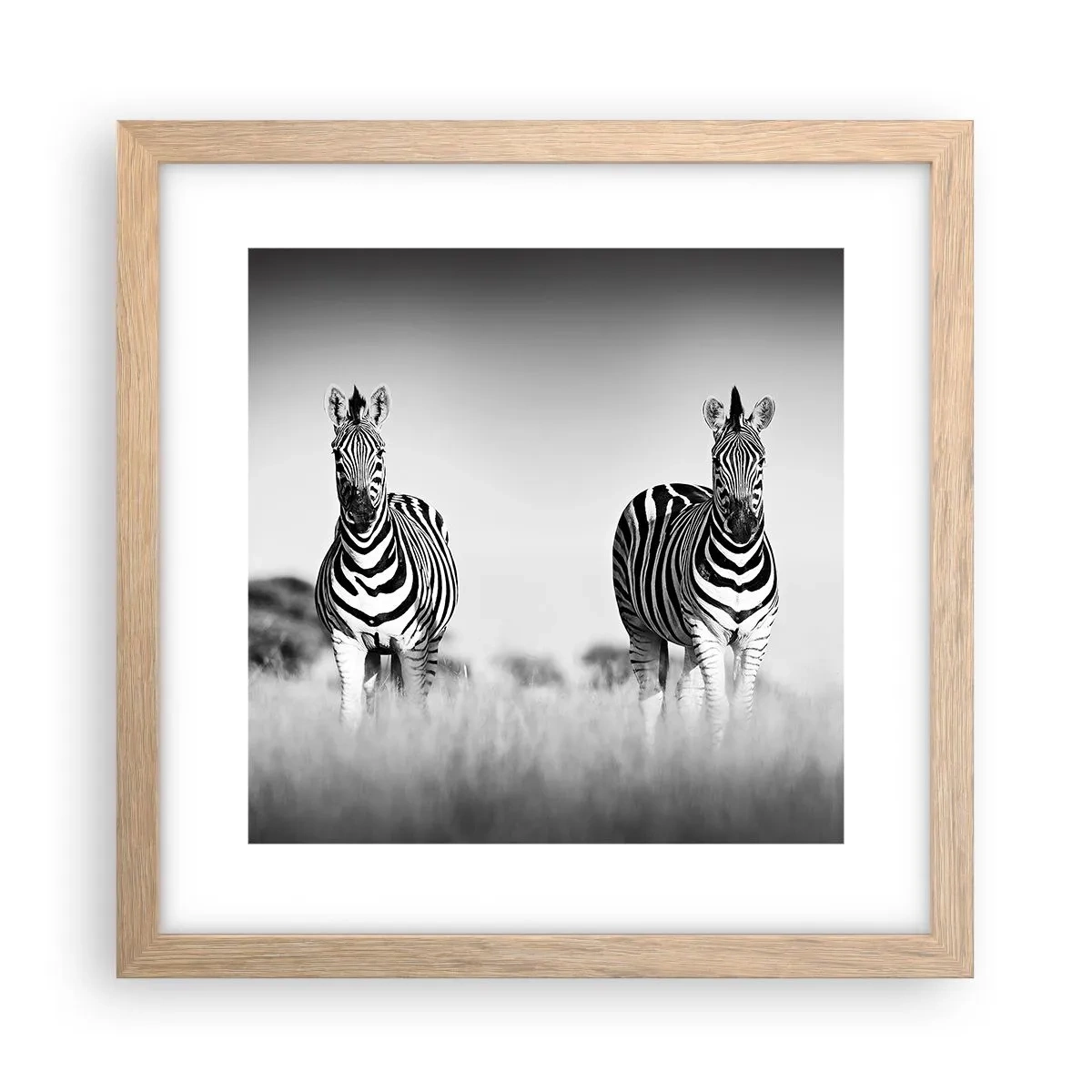 Plakat w ramie jasny dąb - A jednak świat jest czarno-biały - 30x30 cm