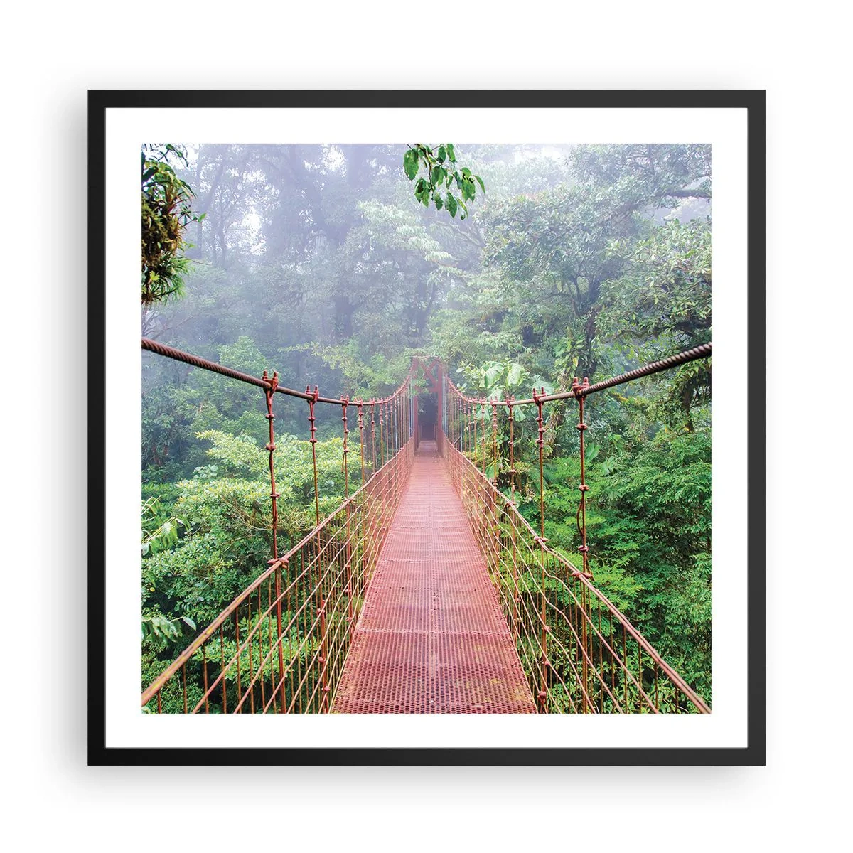 Plakat w czarnej ramie - Zawieszony nad koronami - 60x60 cm