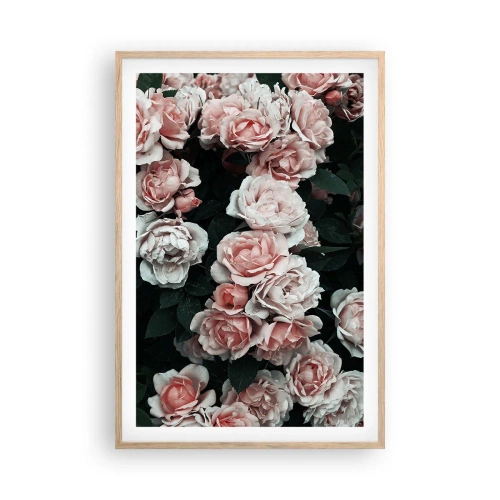 Plakat w ramie jasny dąb - Różany ansamble - 61x91 cm