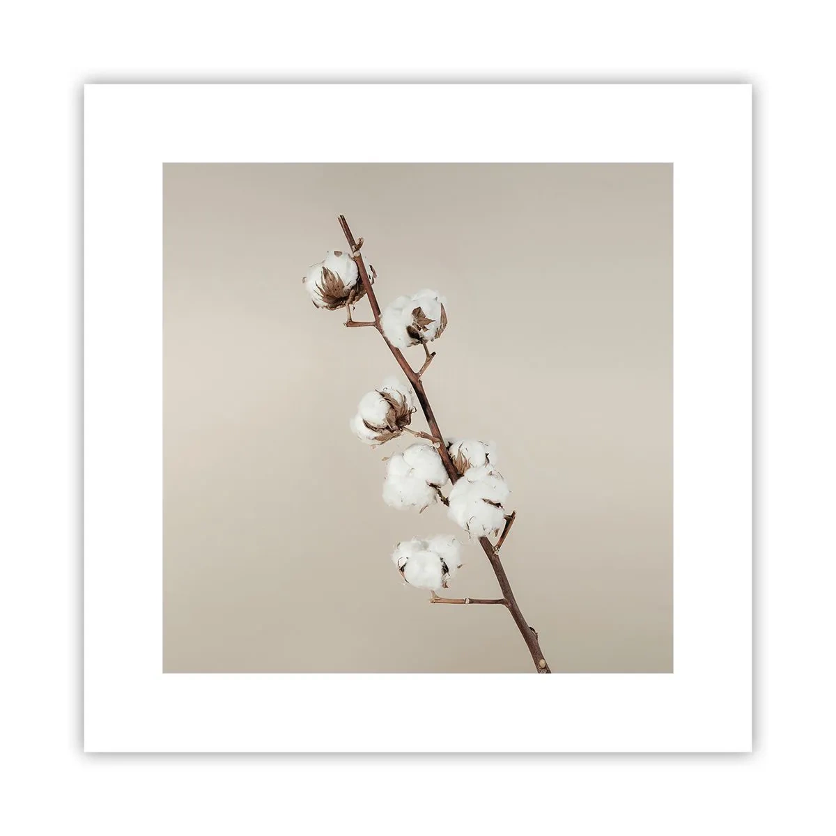 Plakat - U źródła miękkości - 30x30 cm