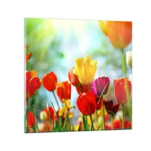 Obraz na szkle - Wszystkie barwy słońca - 30x30 cm