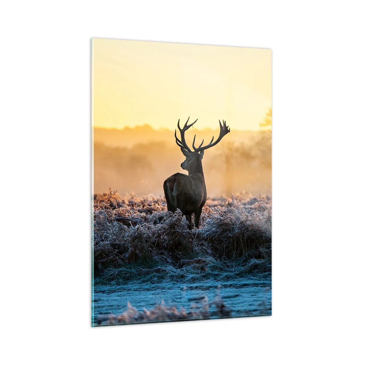 Obraz na szkle - Jeleń w mroźnym poranku na tle wschodu słońca - 50x70cm - Koronowany na swoich włościach - Nowoczesna dekoracja ścienna do salonu, kuchni i sypialni ARTTOR