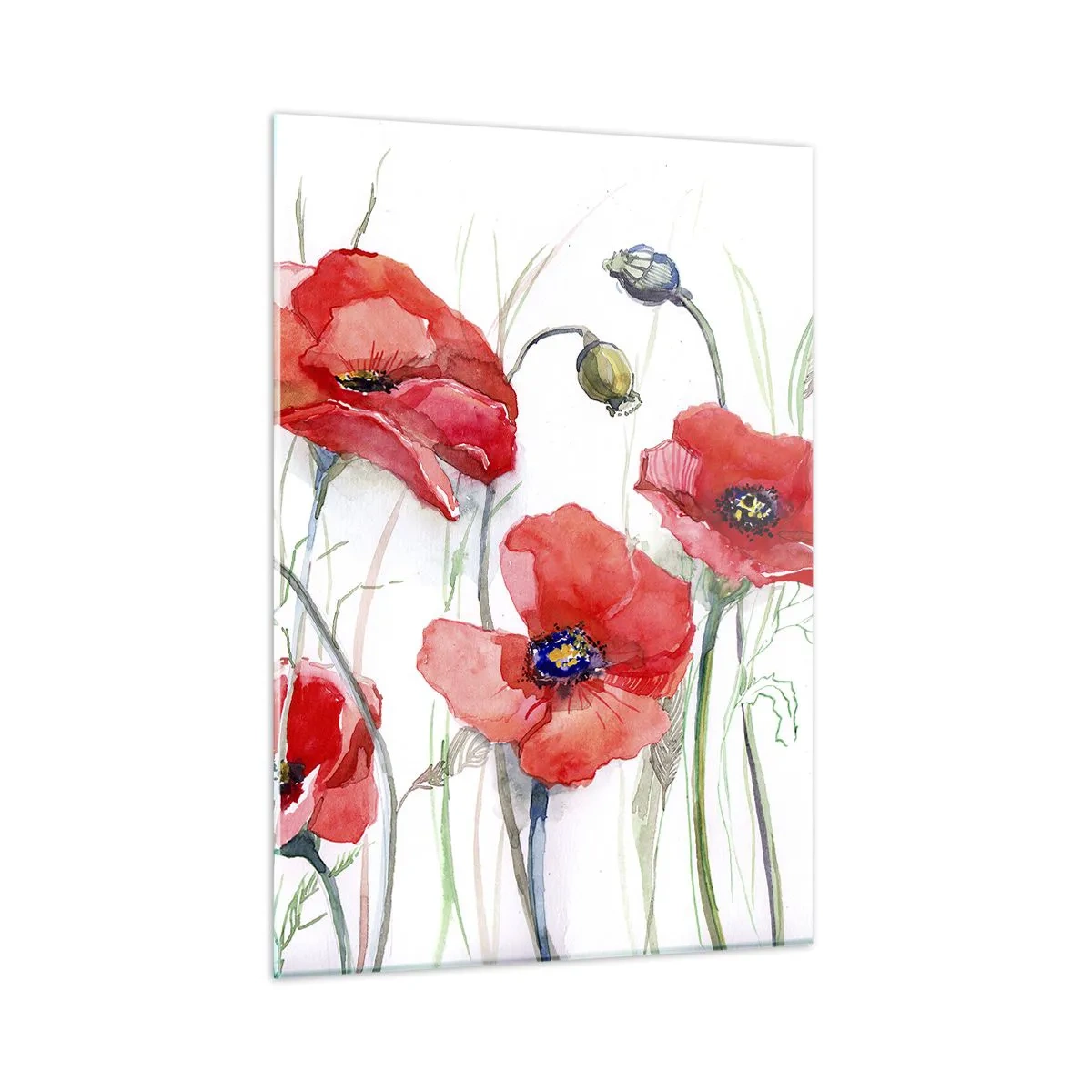 Obraz na szkle - Akwarelowe czerwone maki na białym tle - 50x70cm - Kwiaty polskie - Nowoczesna dekoracja ścienna do salonu, kuchni i sypialni ARTTOR