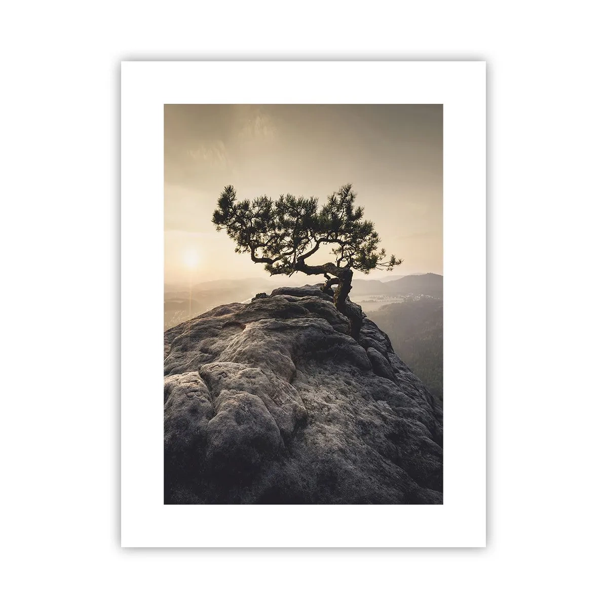 Plakat - Życie zawsze zwycięża - 30x40 cm