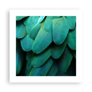 Plakat - Precyzja papuziej natury - 40x40 cm