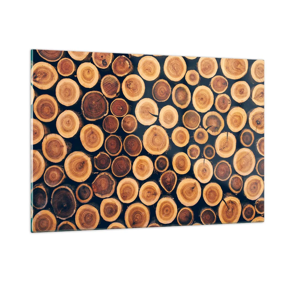 Obraz na szkle - Widok na ścięte pnie drzew ułożone w rzędzie - 120x80cm - Na ile lat wyglądam? - Nowoczesna dekoracja ścienna do salonu, kuchni i sypialni ARTTOR