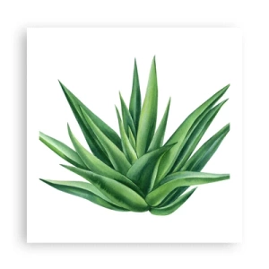Plakat - Zieleń – siła – życie - 60x60 cm