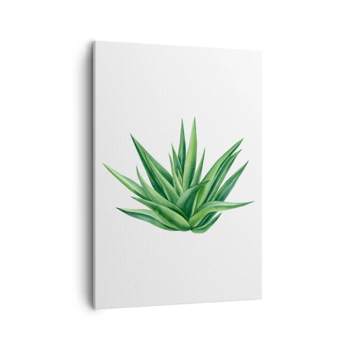 Obraz na płótnie - Realistyczna ilustracja zielonej rośliny aloesu na białym tle - 50x70cm - Zieleń – siła – życie - Nowoczesna dekoracja ścienna do salonu, kuchni i sypialni ARTTOR