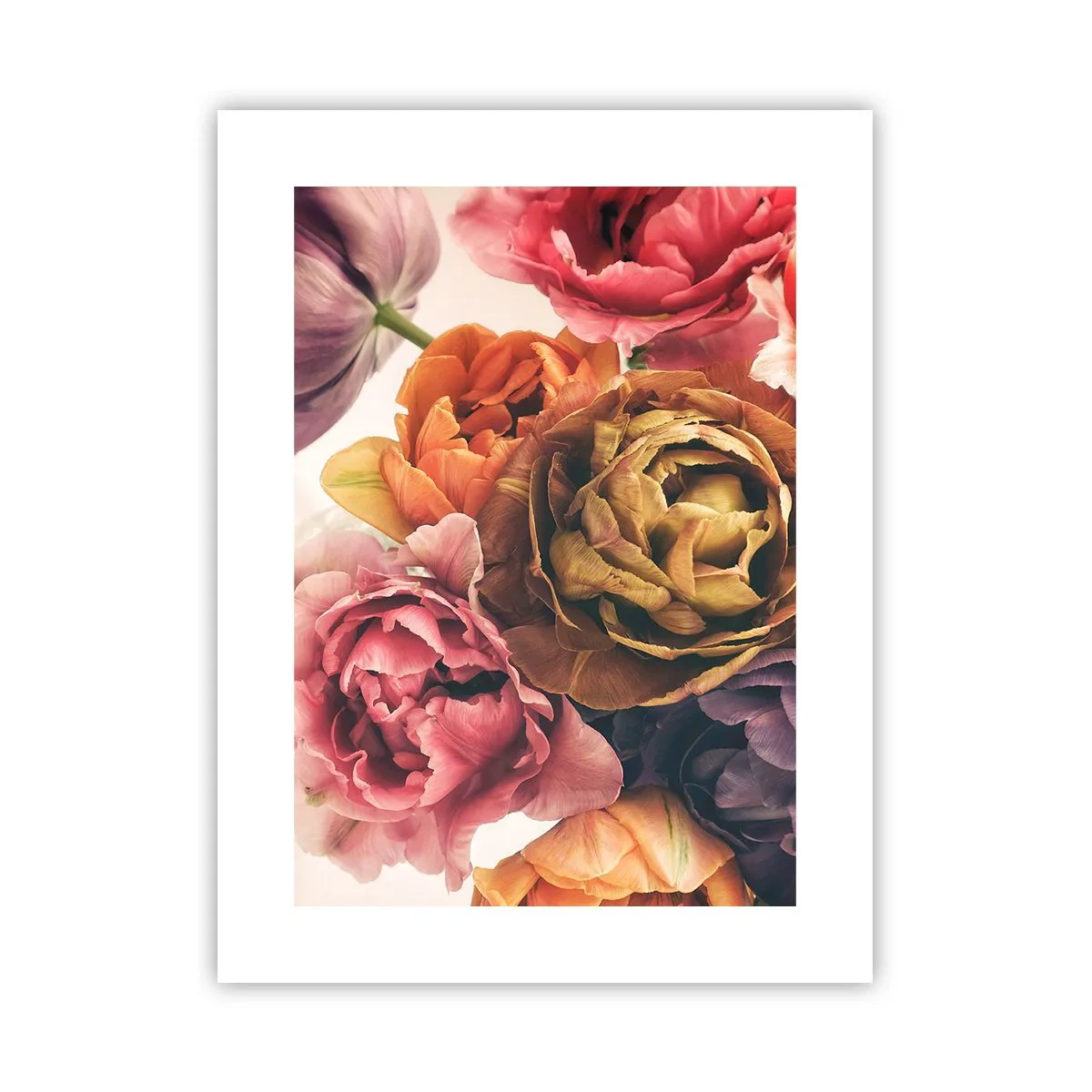 Plakat - Święto życia - 30x40 cm