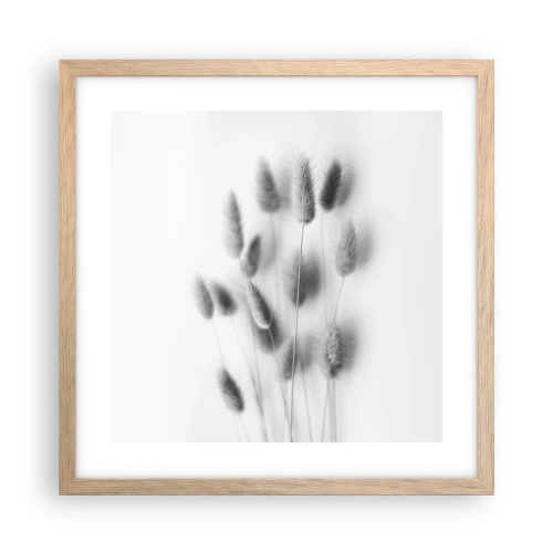 Plakat w ramie jasny dąb - Jej puszystość trawa - 40x40 cm