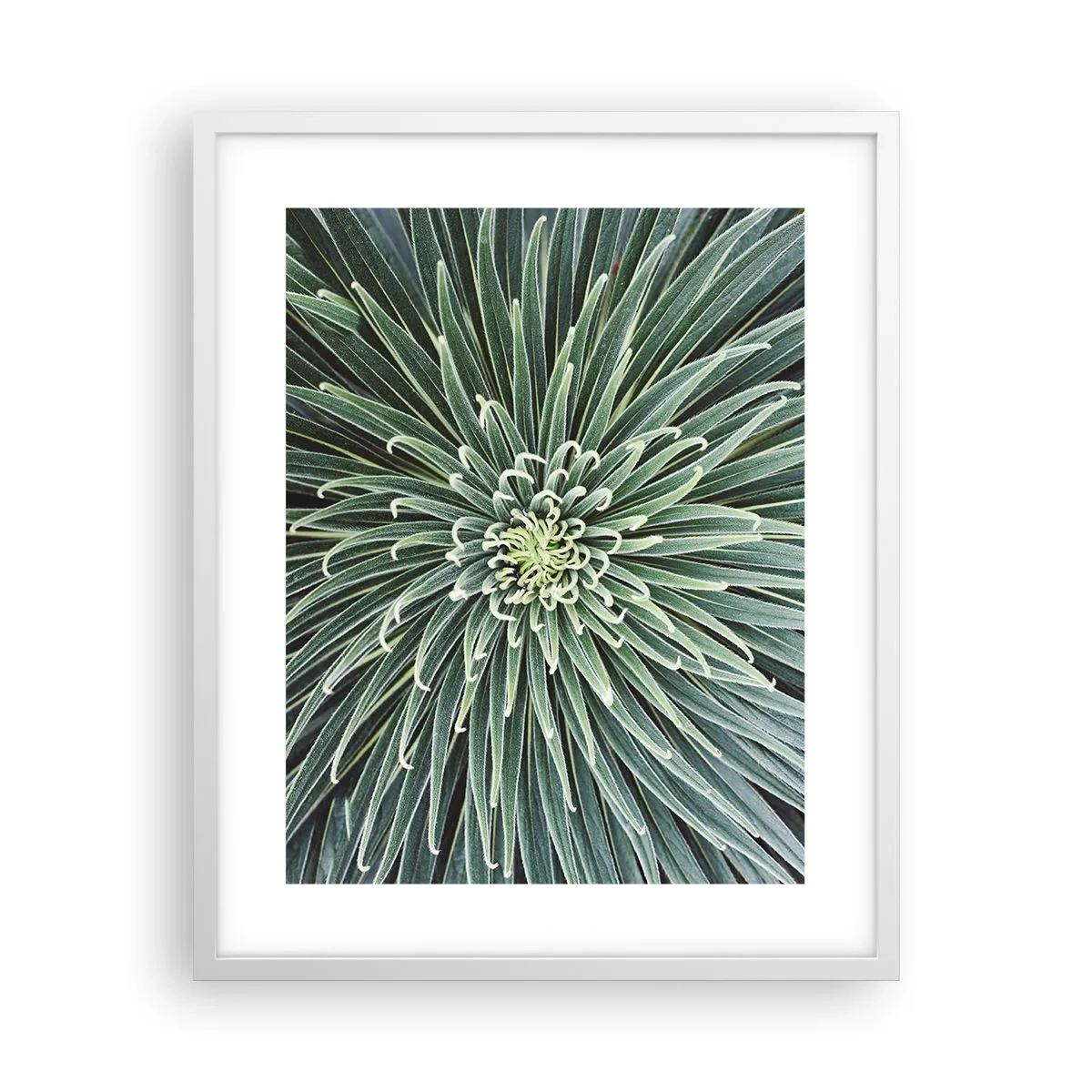 Plakat w białej ramie - Narodziny gwiazdy - 40x50 cm