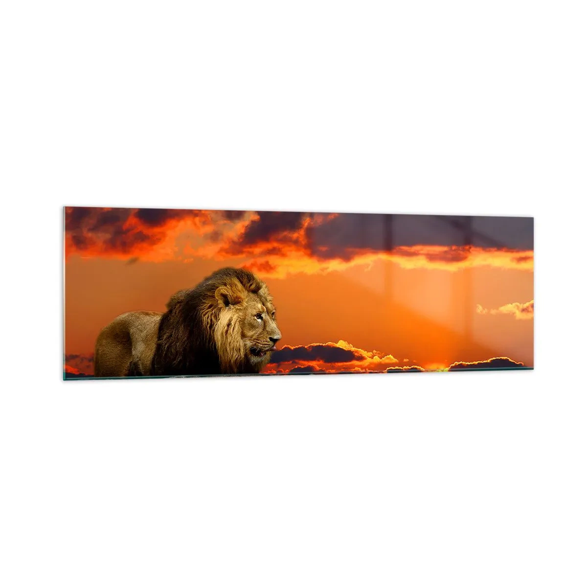 Obraz na szkle - Lew spoczywający nad wodą o zachodzie słońca z dramatycznym niebem - 160x50cm - Król natury - Nowoczesna dekoracja ścienna do salonu i sypialni ARTTOR