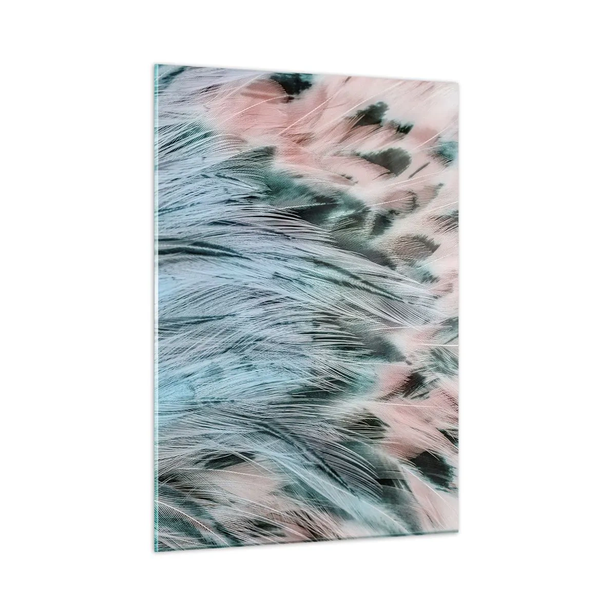 Obraz na szkle - Zbliżenie na pióra w szafirowo-różowych odcieniach - 50x70cm - Szafirowo-różowy puch - Nowoczesna dekoracja ścienna do salonu, kuchni i sypialni ARTTOR