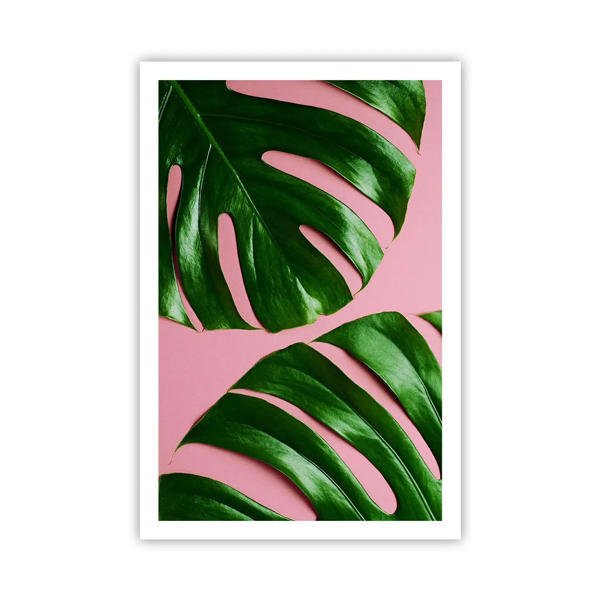 Plakat - Zielone rendez-vous - 61x91 cm