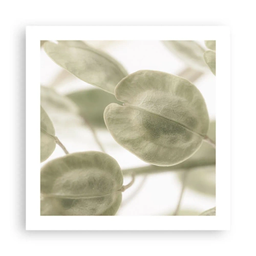 Plakat - Na początku były listki… - 50x50 cm