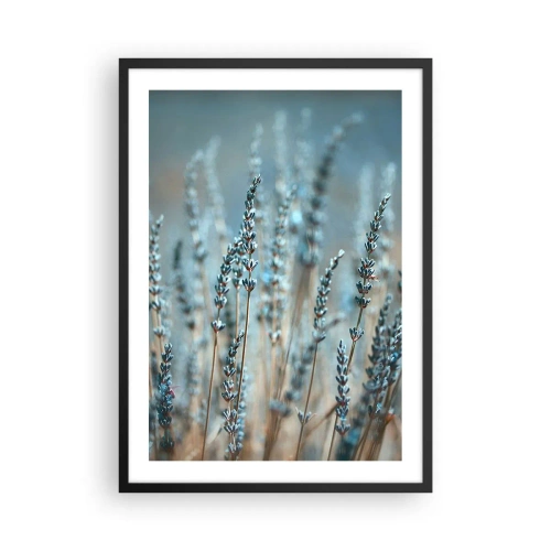Plakat w czarnej ramie - Delikatne lawendowe kwiaty na pastelowym tle - 50x70cm - Pachnący łan - Nowoczesna dekoracja ścienna do salonu i sypialni ARTTOR