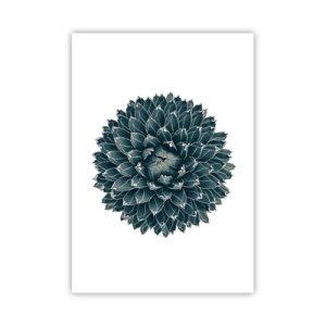 Plakat - Gwiazda pustyni - 70x100 cm