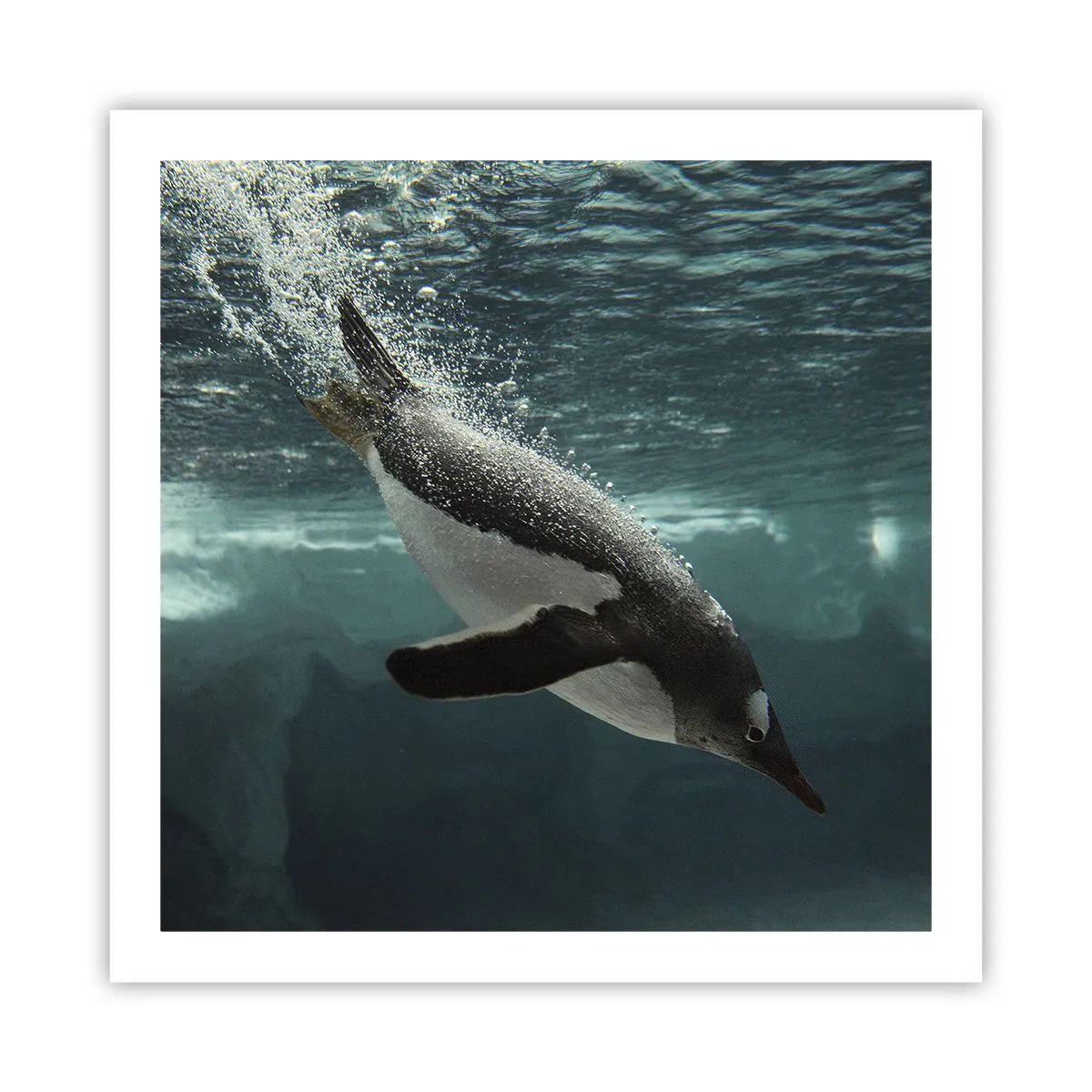 Plakat - Witaj w moim świecie - 60x60 cm