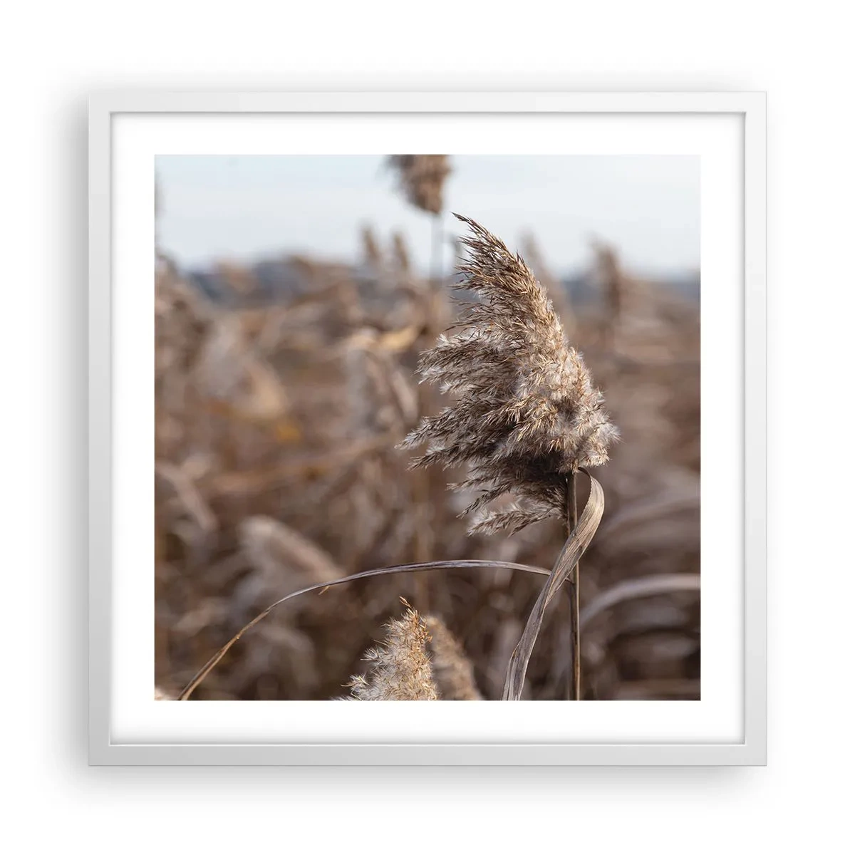 Plakat w białej ramie - Czas odlecieć z wiatrem - 50x50 cm