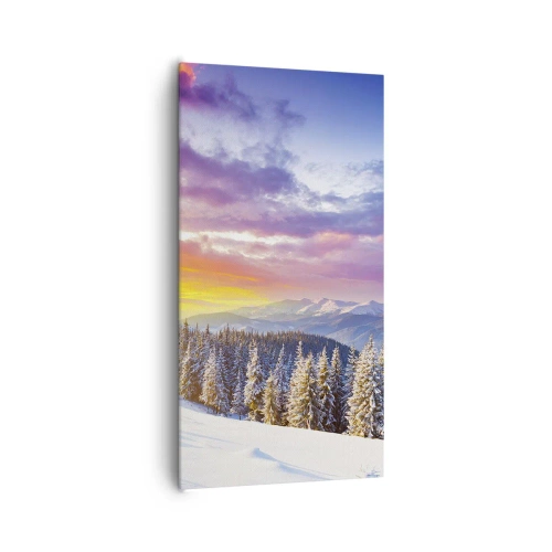 Obraz na płótnie - W biały dzień - 65x120 cm