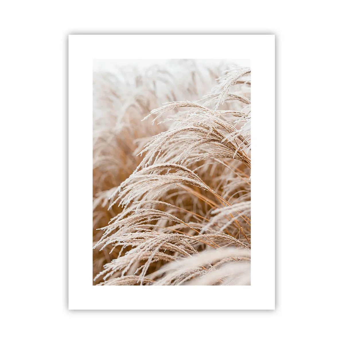 Plakat - Pokłon jesiennemu słońcu - 30x40 cm