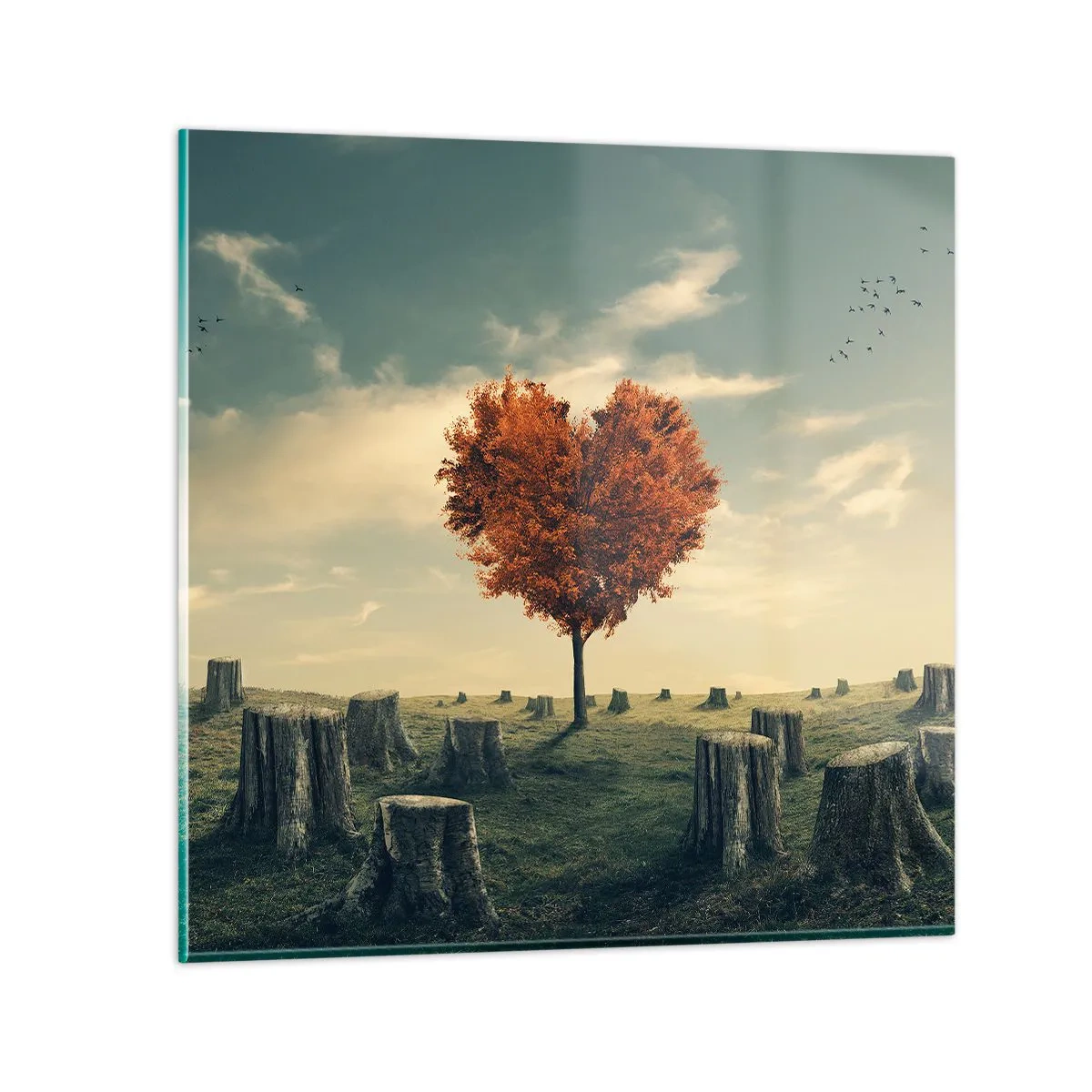 Obraz na szkle - Wciąż jest nadzieja - 60x60 cm