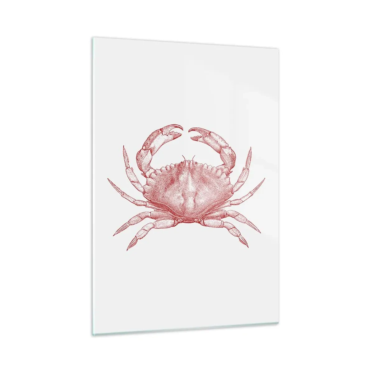 Obraz na szkle - Szkic czerwonego kraba na jasnym tle w stylu retro - 50x70cm - Krab nad kraby - Nowoczesna dekoracja ścienna do salonu, kuchni i sypialni ARTTOR